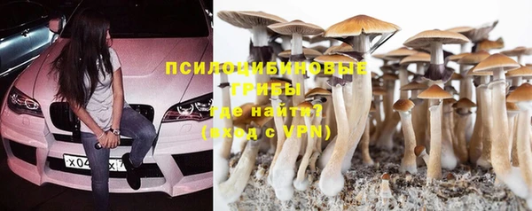 героин Ладушкин