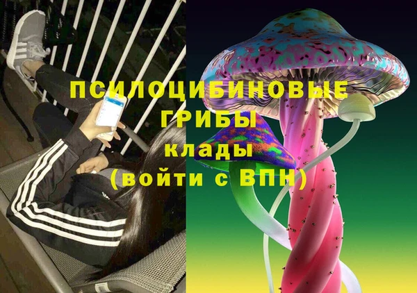 молекула духа Лиски