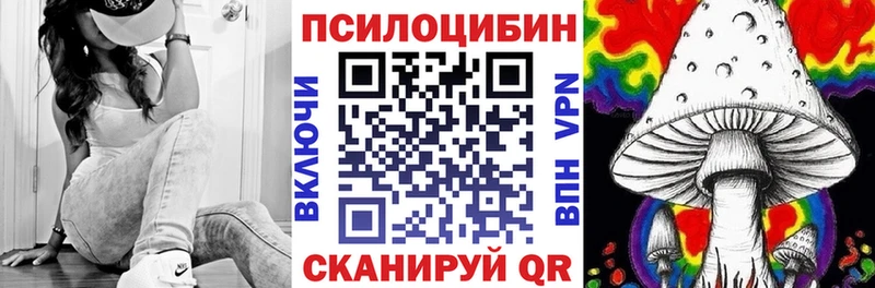 Галлюциногенные грибы Cubensis  что такое   Суджа 